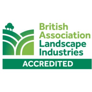 BALI Accredited primary logo