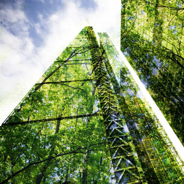 circularity in construction