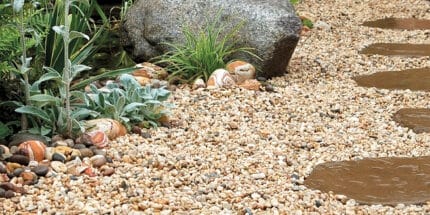 Apricot gravel border