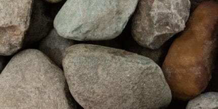 Cambrian boulder
