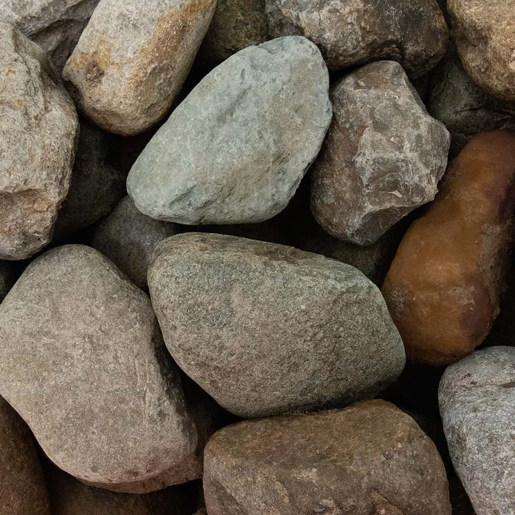 Cambrian boulder