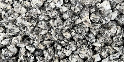 Dapple grey