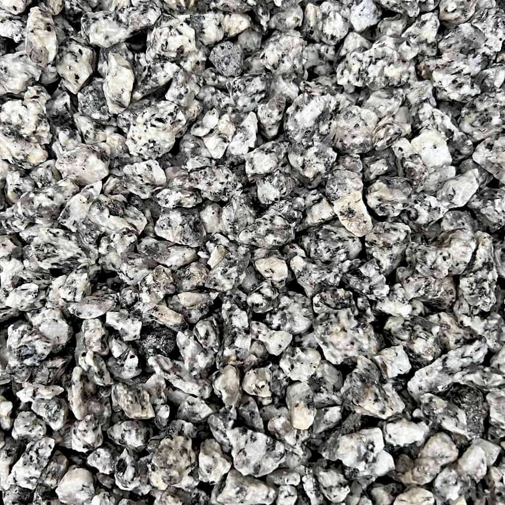 Dapple grey Dapple grey