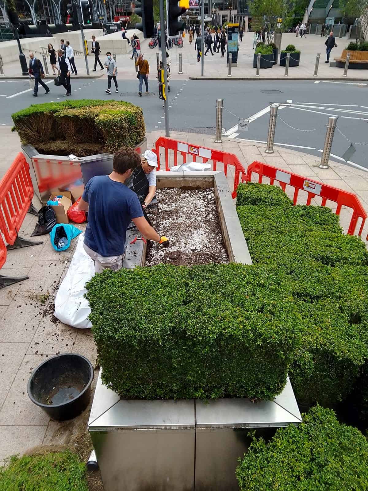 Banks Street Planter with fytocell May 2022.