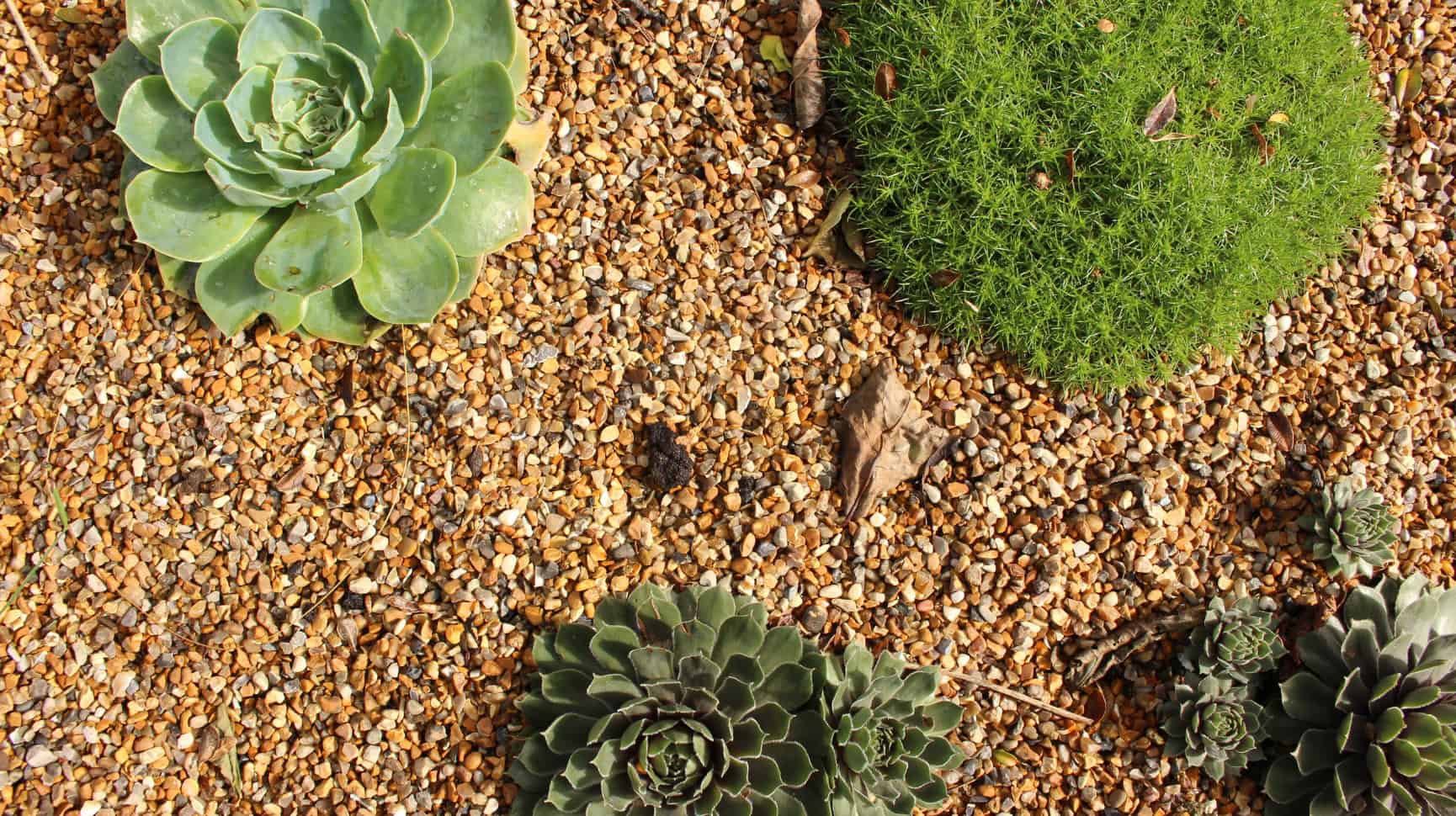 2/6mm Horticultural Grit